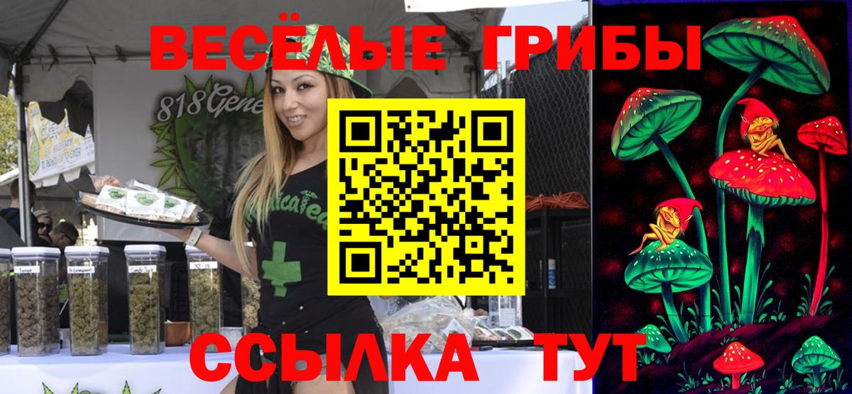 Галлюциногенные грибы Magic Shrooms  Вход с VPN  Удомля 